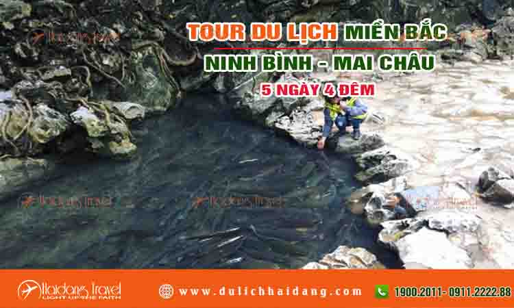 Tour miền bắc Ninh Bình Pù Luồng Mai Châu 5 ngày 4 đêm