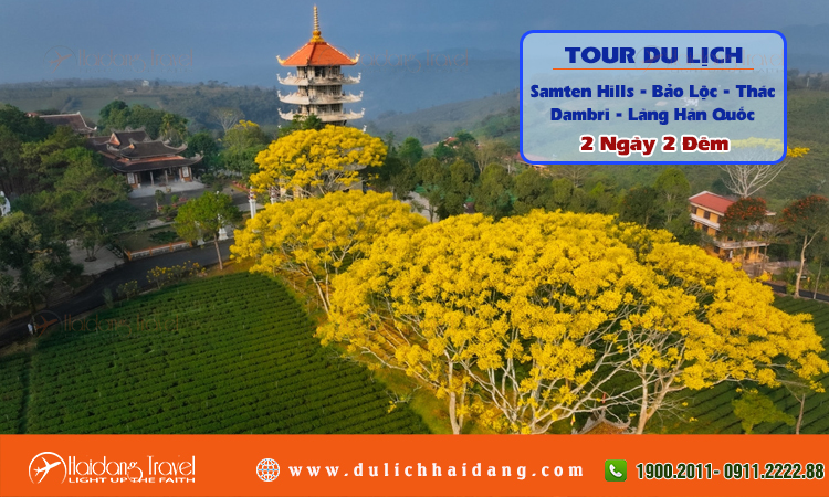 Tour Samten Hills Bảo Lộc Thác Dambri Làng Hàn Quốc 2 ngày 2 đêm